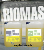 Qué es la Biomasa.